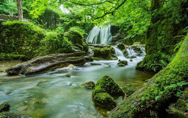 高性能高标准